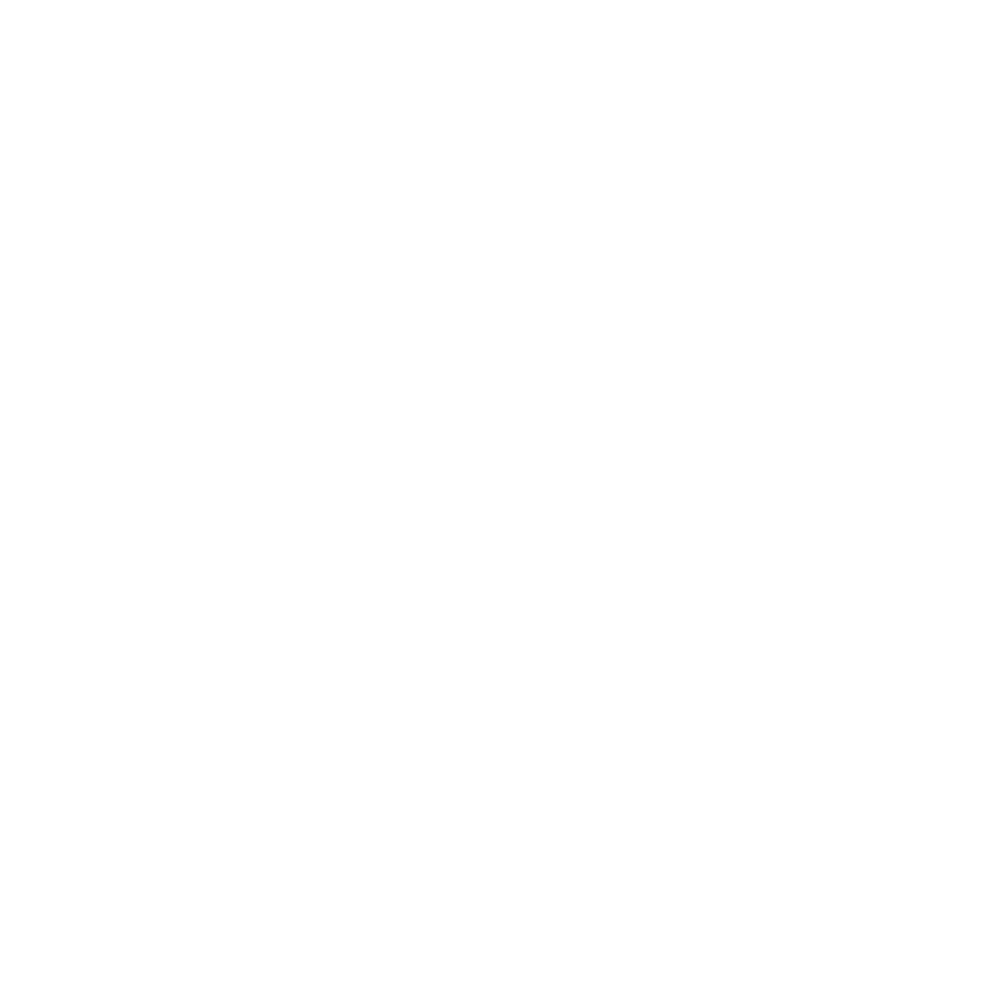 TimVis Logo